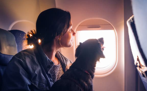 Expedia Flights background