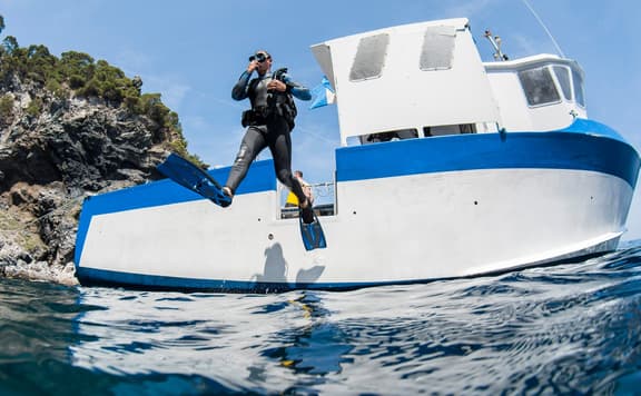 Divers Supply background