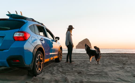 Rental Cars by Booking.com background